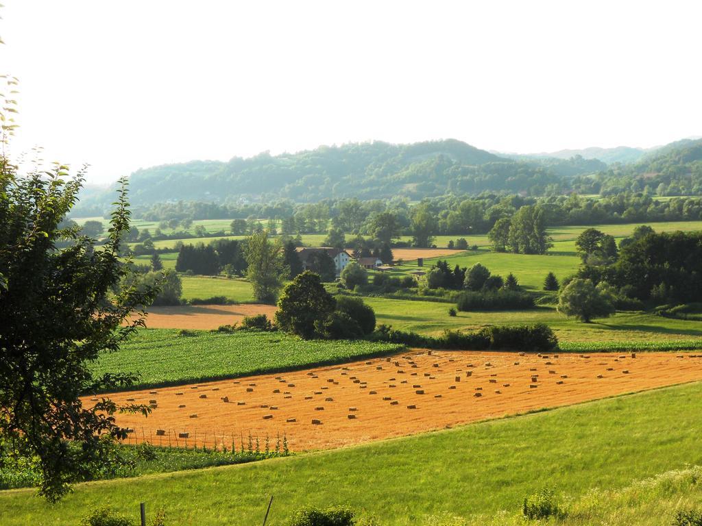 Farm Stay Kramer Bistrica ob Sotli Buitenkant foto