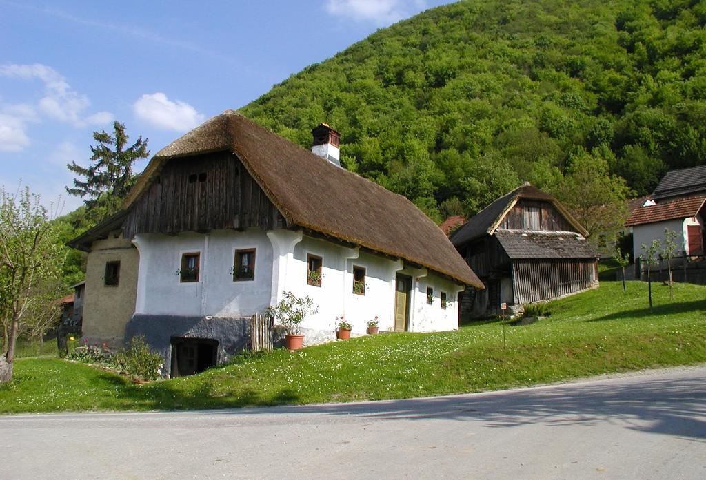 Farm Stay Kramer Bistrica ob Sotli Buitenkant foto
